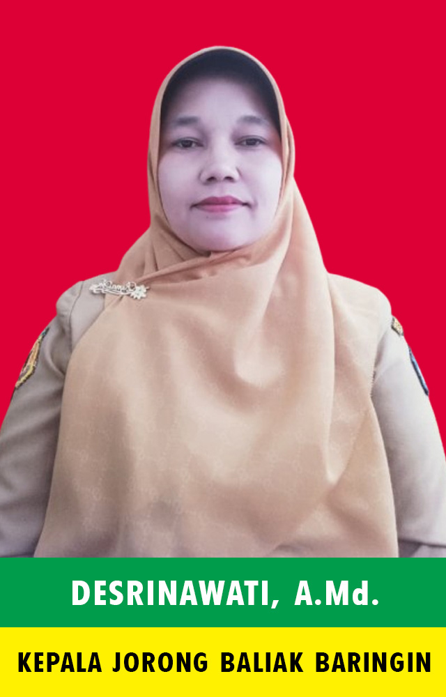 aparatur-jorong_baliak_baringin